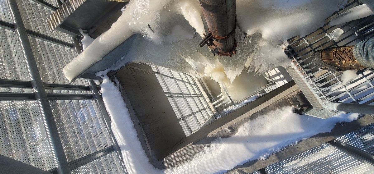 XJ-Ø(Zero) tweet media