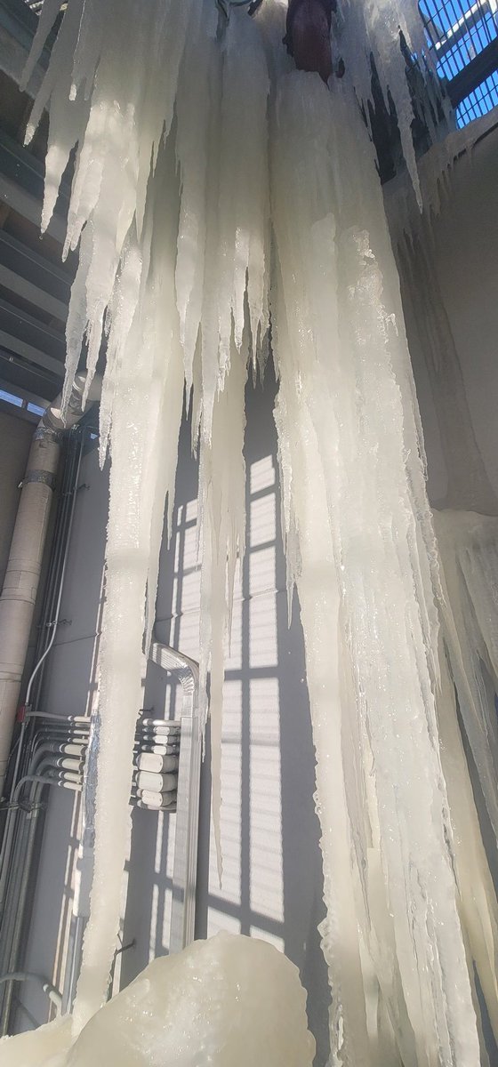 XJ-Ø(Zero) tweet media