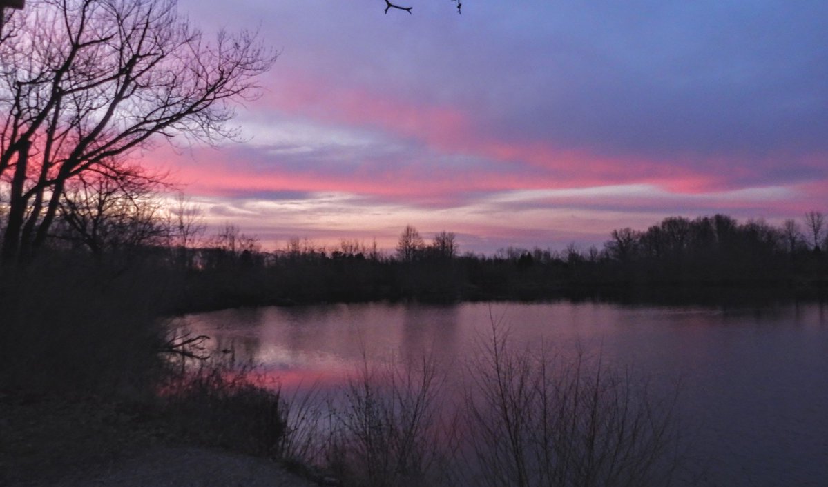 SteveB 🇺🇦🟧🐅💙🌈🌈 tweet media