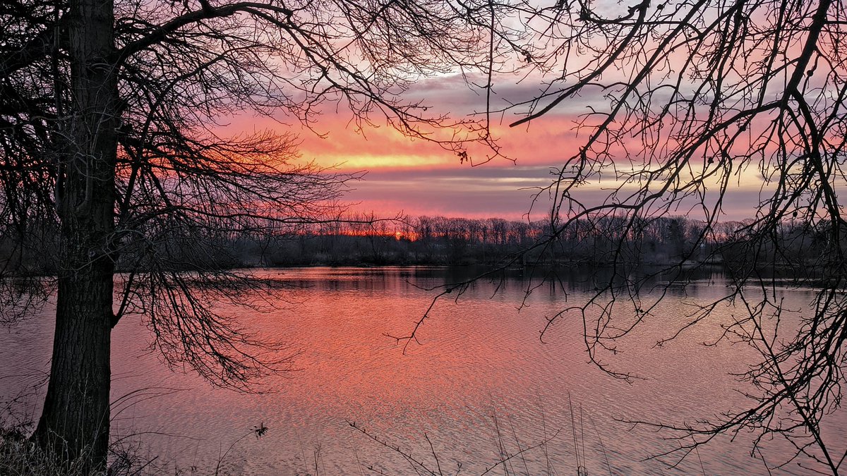 SteveB 🇺🇦🟧🐅💙🌈🌈 tweet media