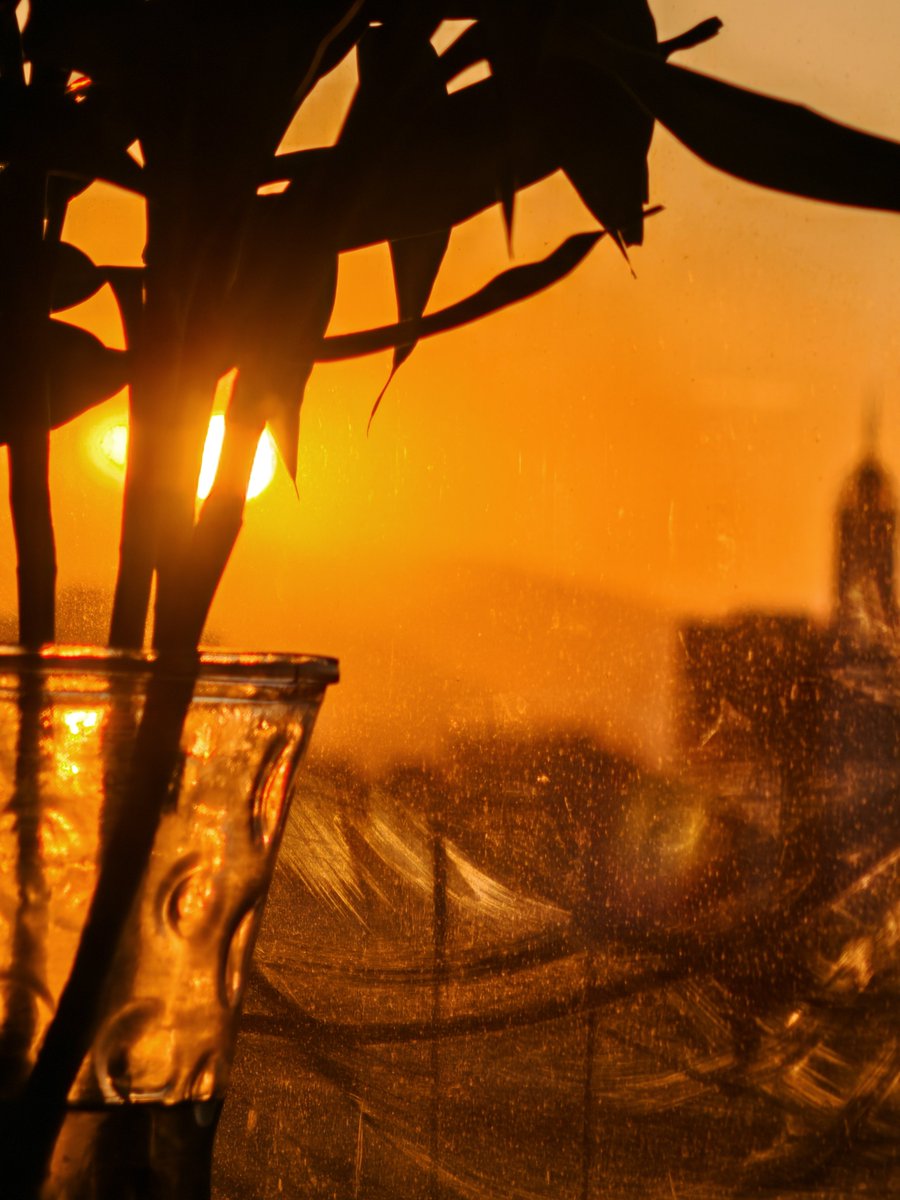 Gerrie Gelderblom tweet media