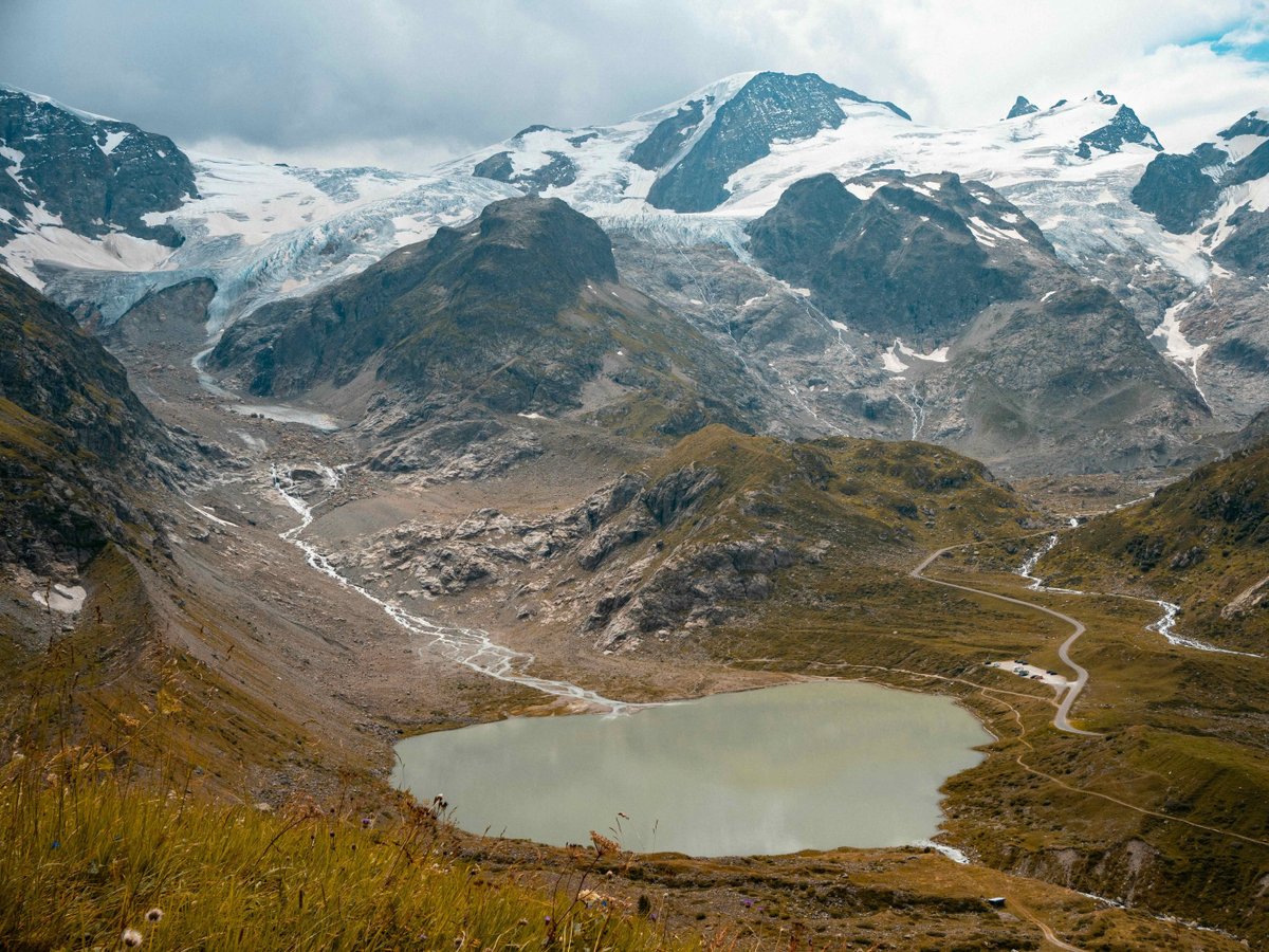 Université de Lausanne tweet media