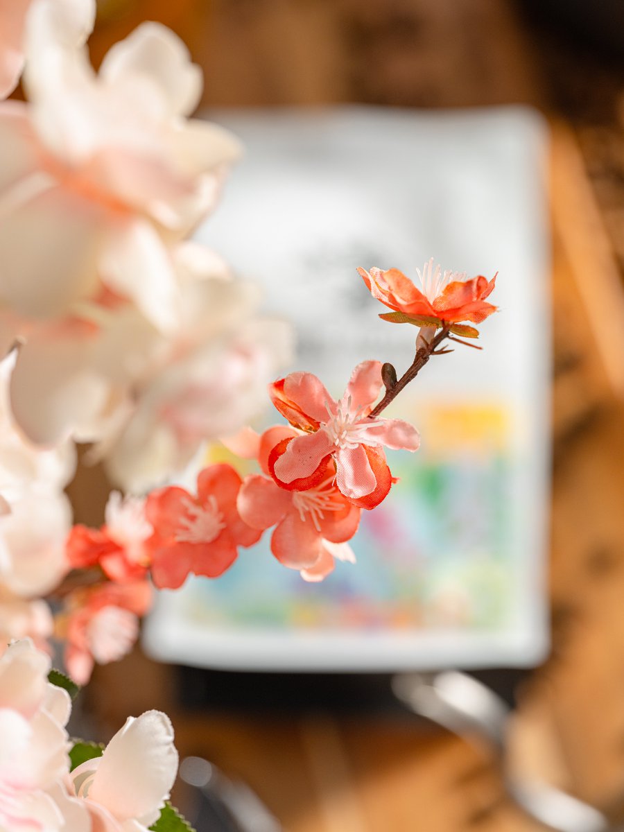 Tree House Brewing Co.🍺 tweet media