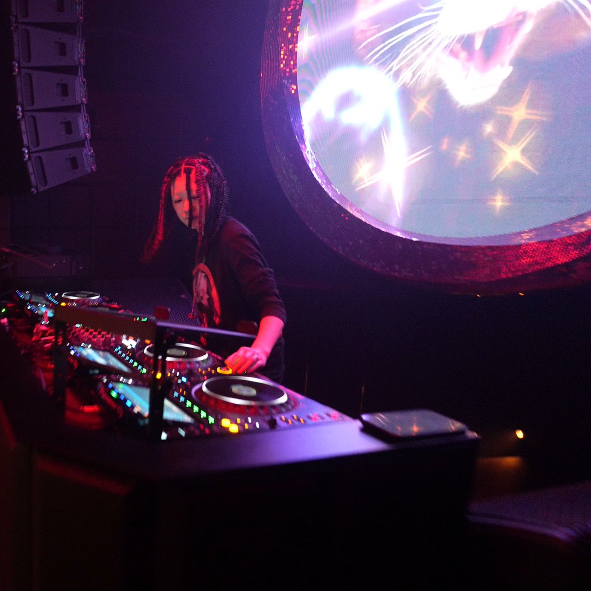 kagejun つきかげ工房　FURRYRAVE撮影班 tweet media