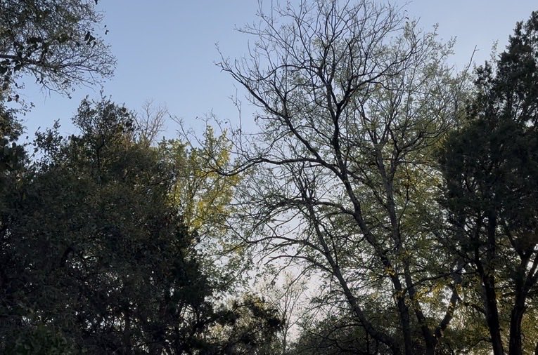 Happy Spring Y’all 💚🤧 Share your last #springvibes photo🤗

#summerfeels