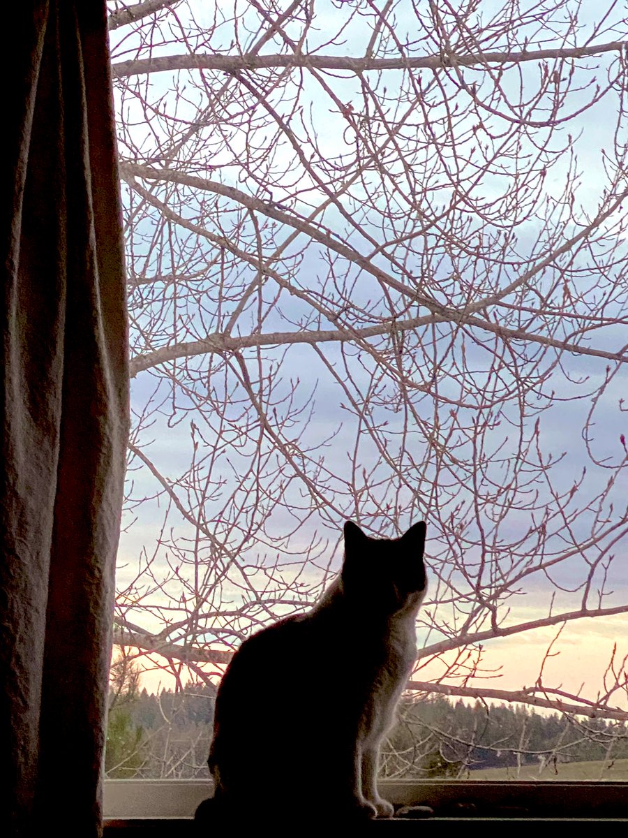 Ludmillaart 🍄 tweet media