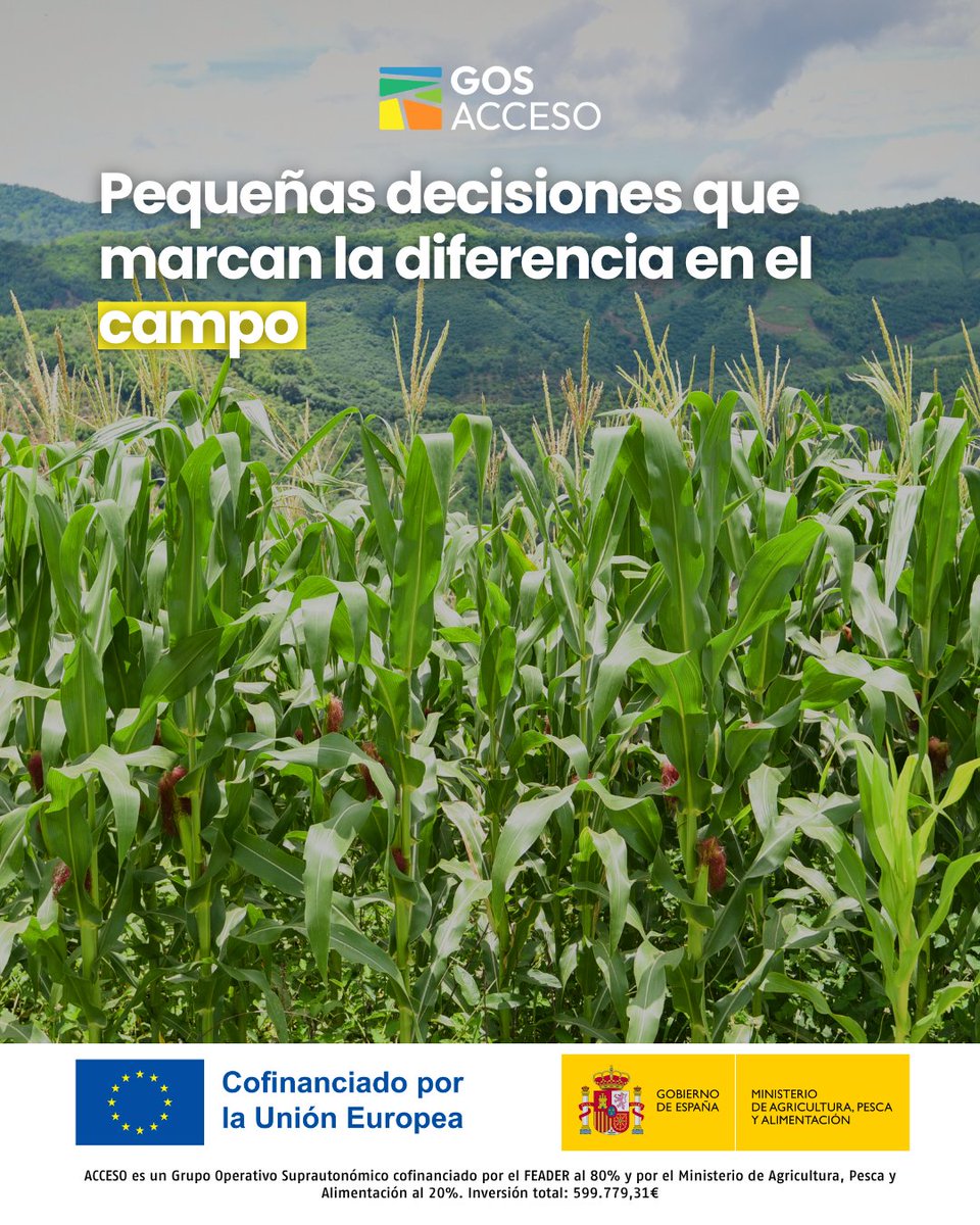 GOS ACCESO - Grupo Operativo Supraautonómico tweet media