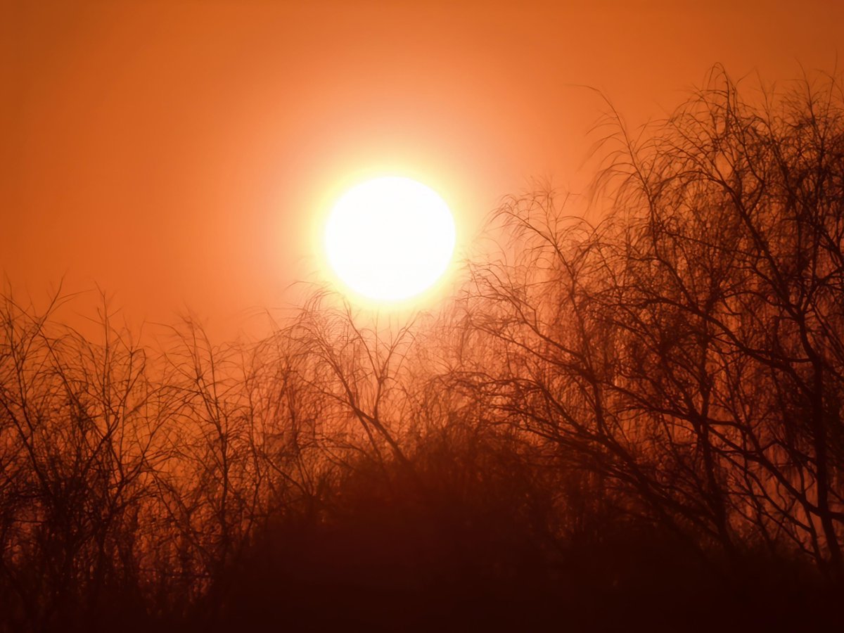 Amy Wilson tweet media