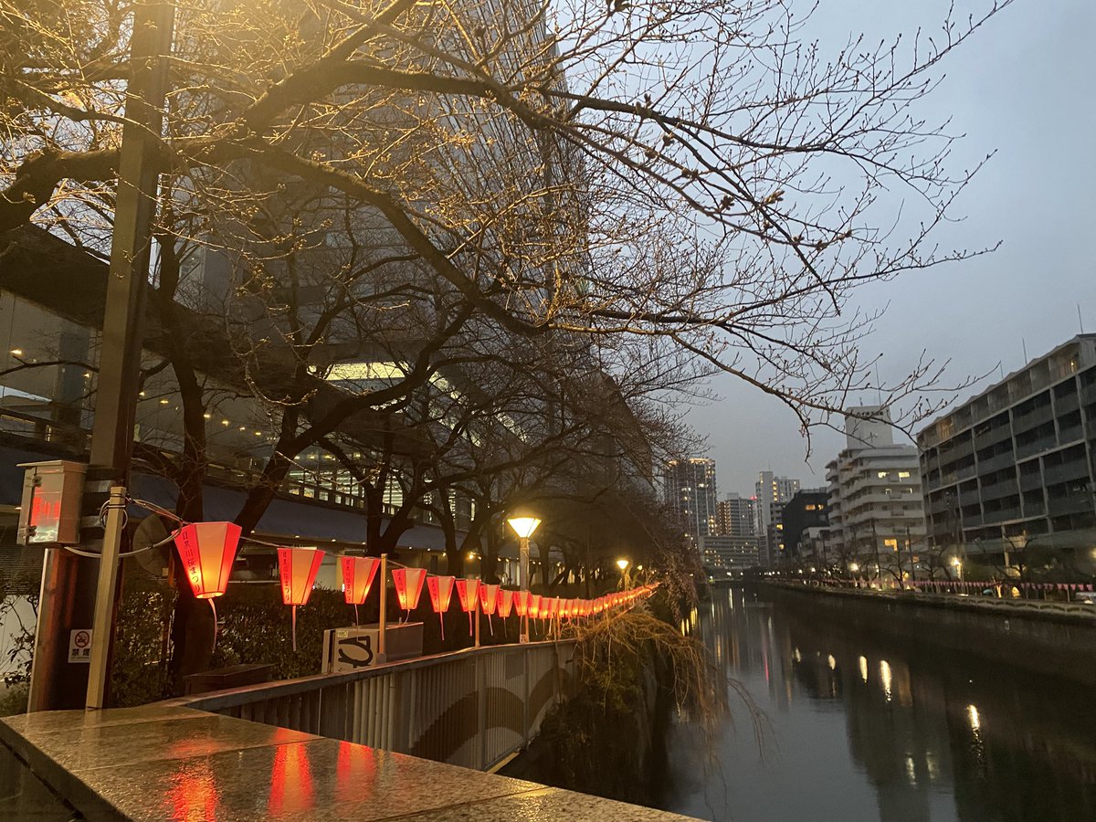 pinky11250804's tweet photo. グンちゃんぼんぼりの詳しい設置場所は下記サイトからキーワード検索できます🔍
（便利になった🙌）

例えば『グン』の文字を検索すると、目黒川イーストエリアにある8つのぼんぼりの地図がそれぞれ表示されます😉🏮

https://t.co/leP9cg7ygw

#장근석 #JangKeunSuk #JKS #チャングンソク https://t.co/0ndmuBHiCr