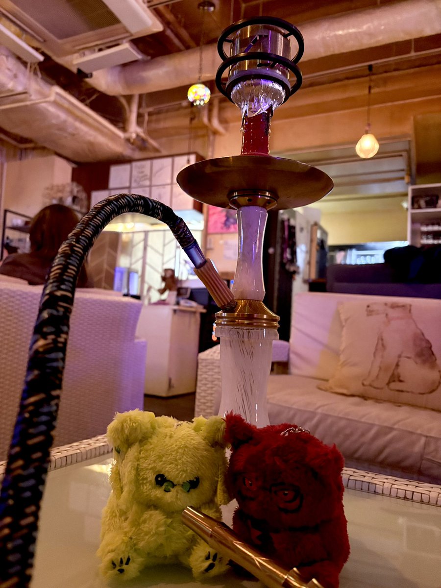 お花見のつもりの極寒ピクニック
＆
ボーカル会のシーシャ屋さん

シーシャ屋さんのお兄さん、来夢さんのこと覚えてたみたい。お話し聞けて嬉しかった(*´꒳`*)