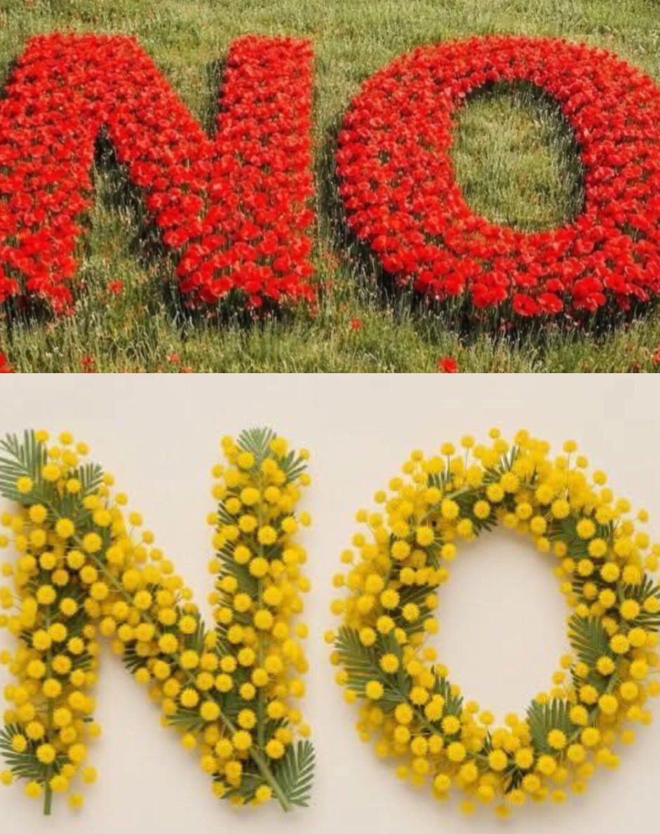 Patchonki 🇪🇺🏳️‍🌈☮️🌲 tweet media