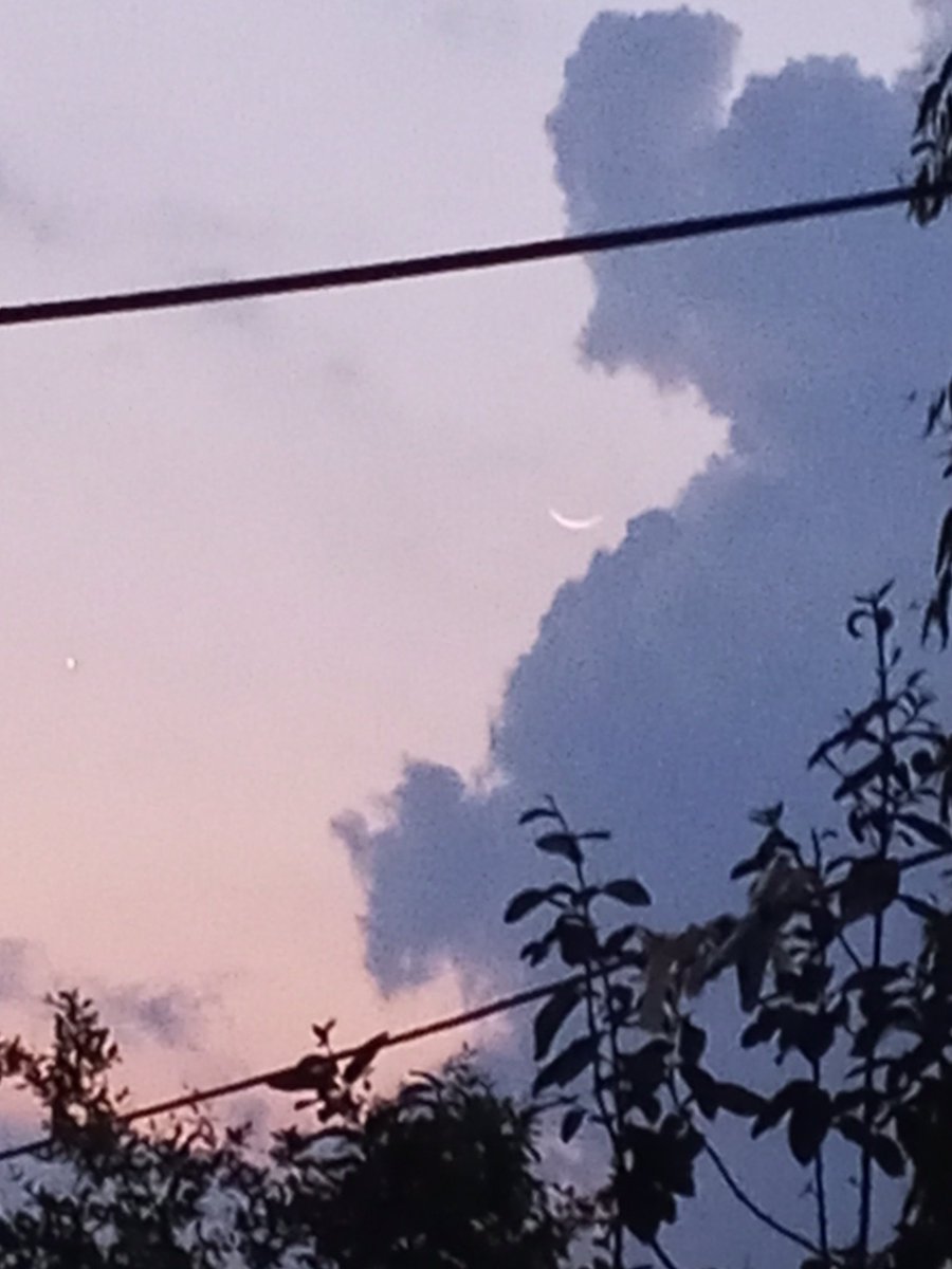 انت الحیاۃ 🦋 tweet media