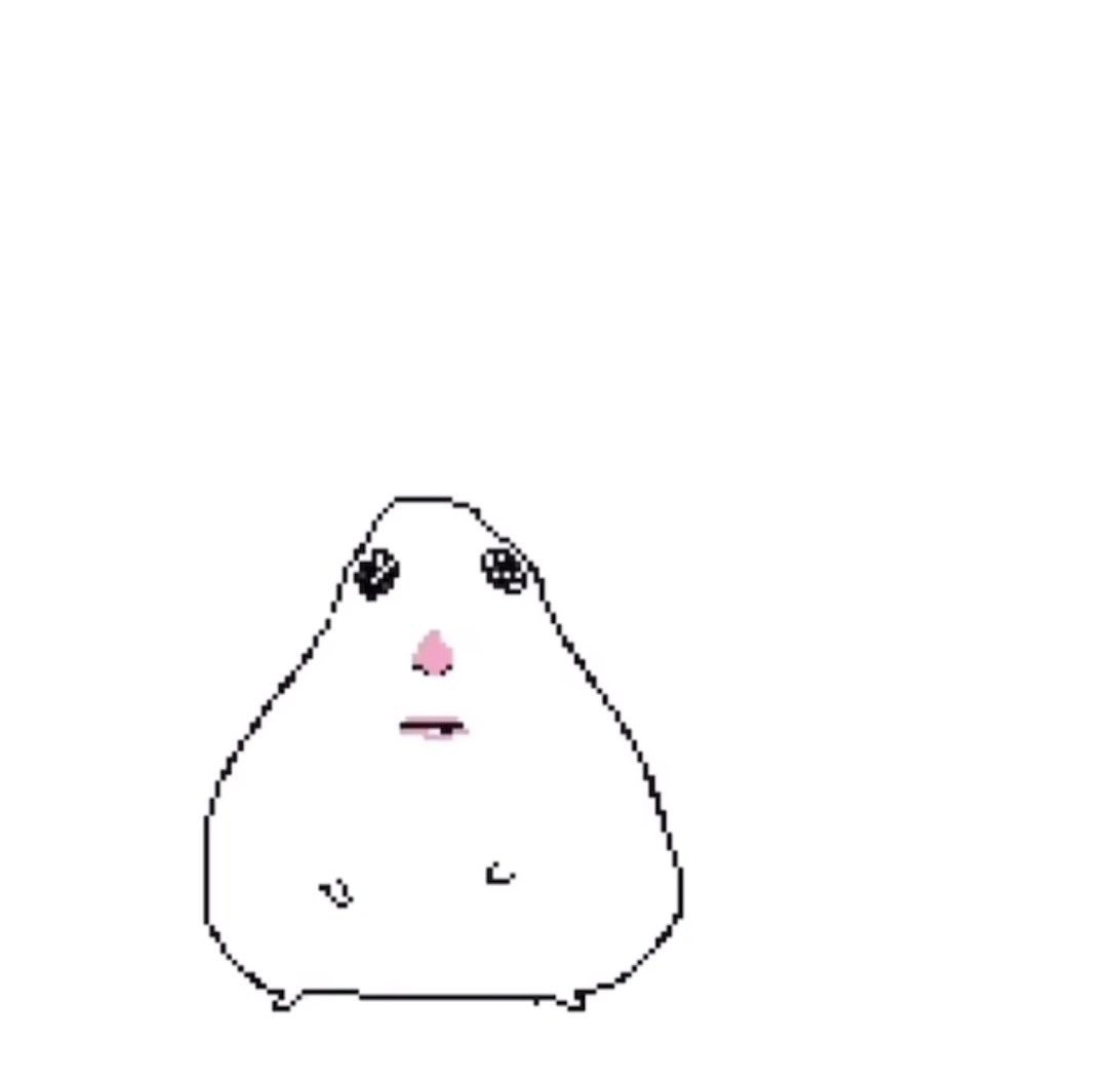 GodFirstGroyper☩ tweet media