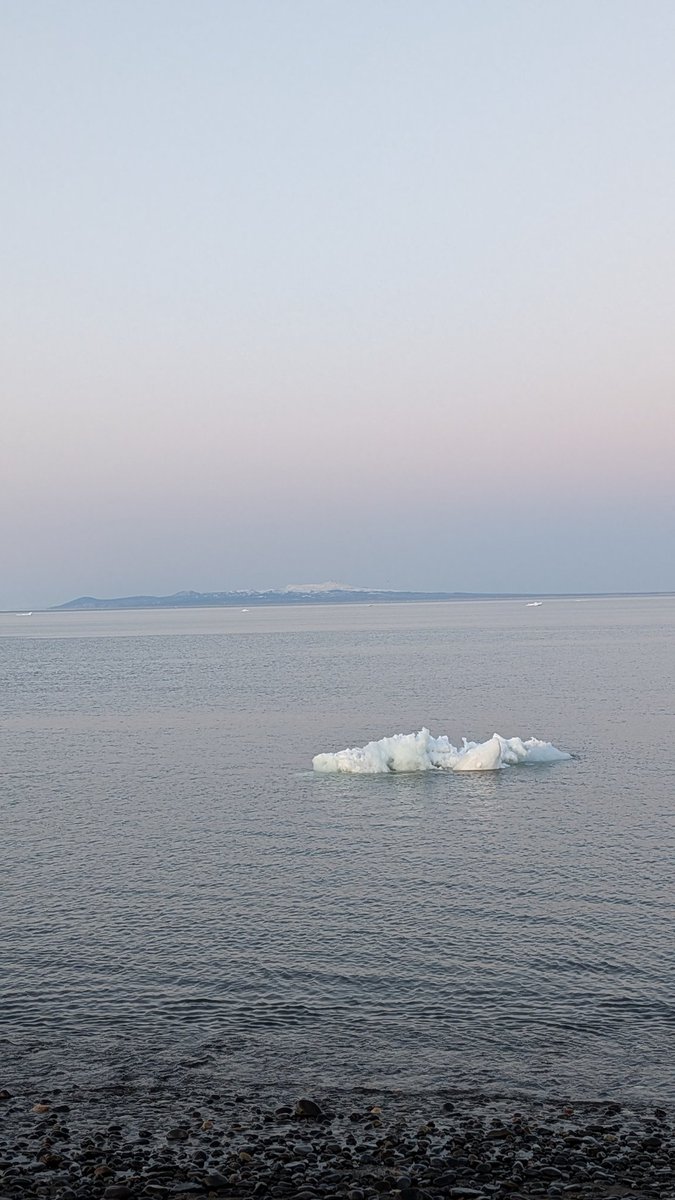 単なる釧路の会社員 tweet media
