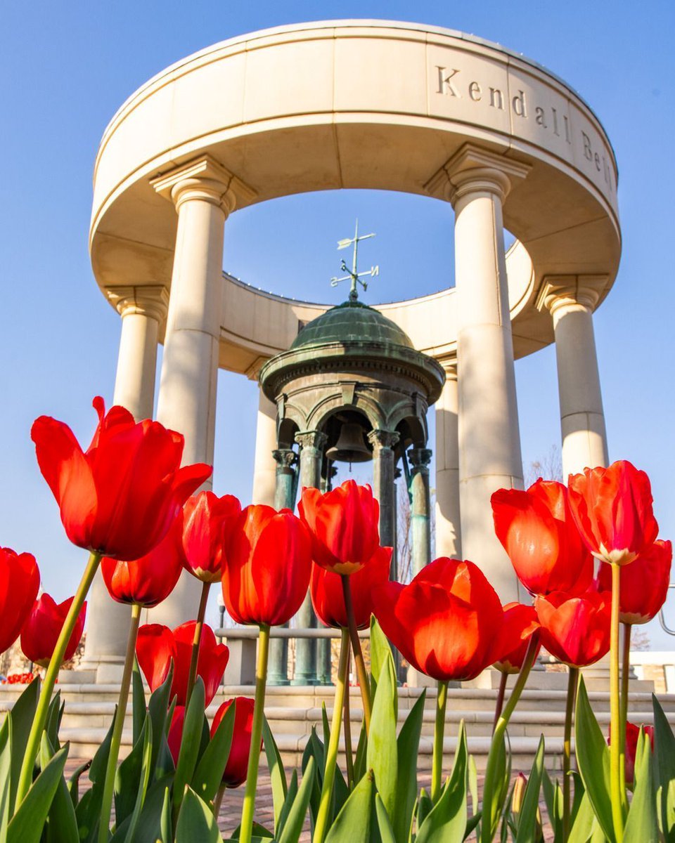 The University of Tulsa tweet media