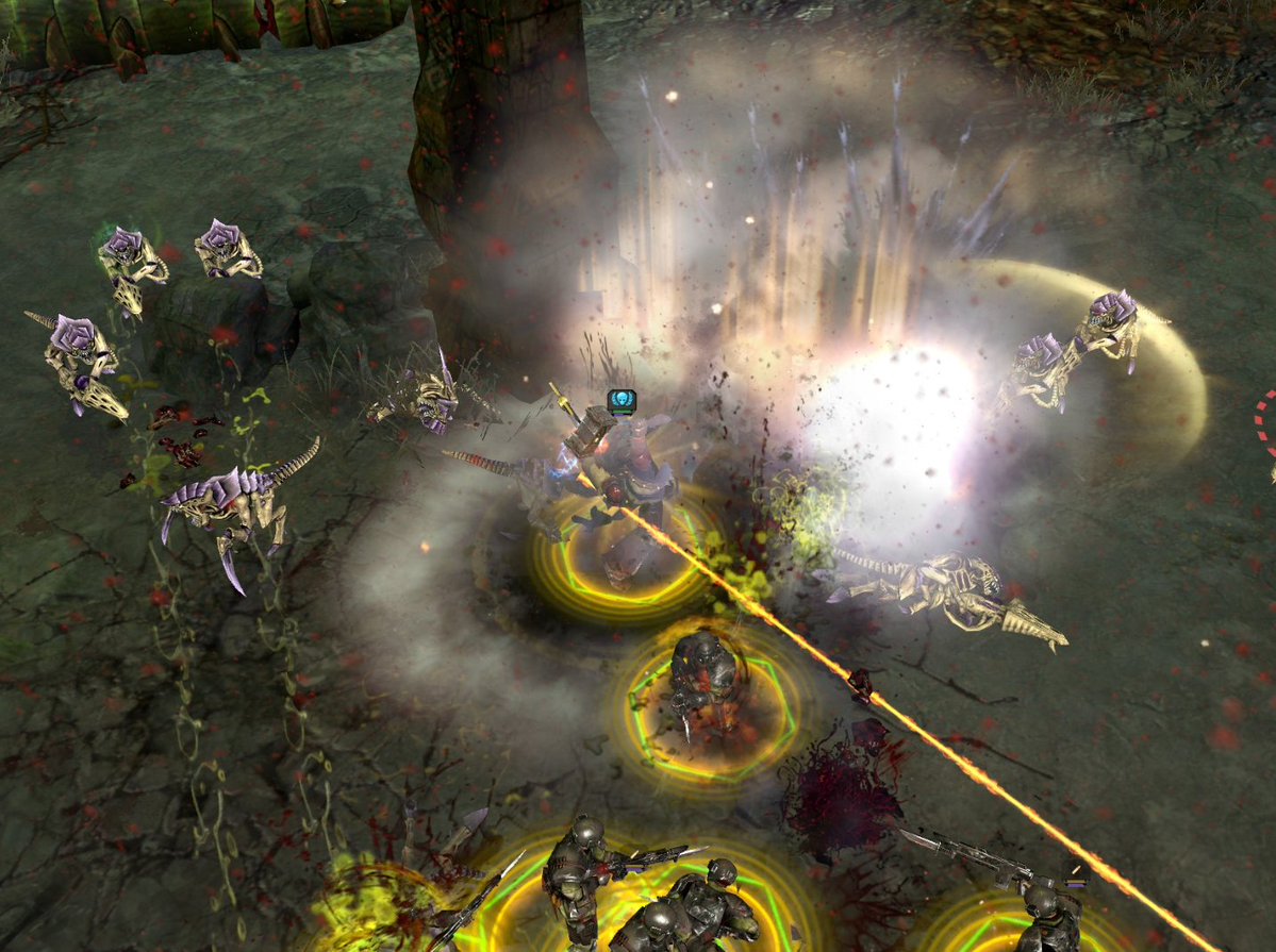 Sims 🐍 tweet media