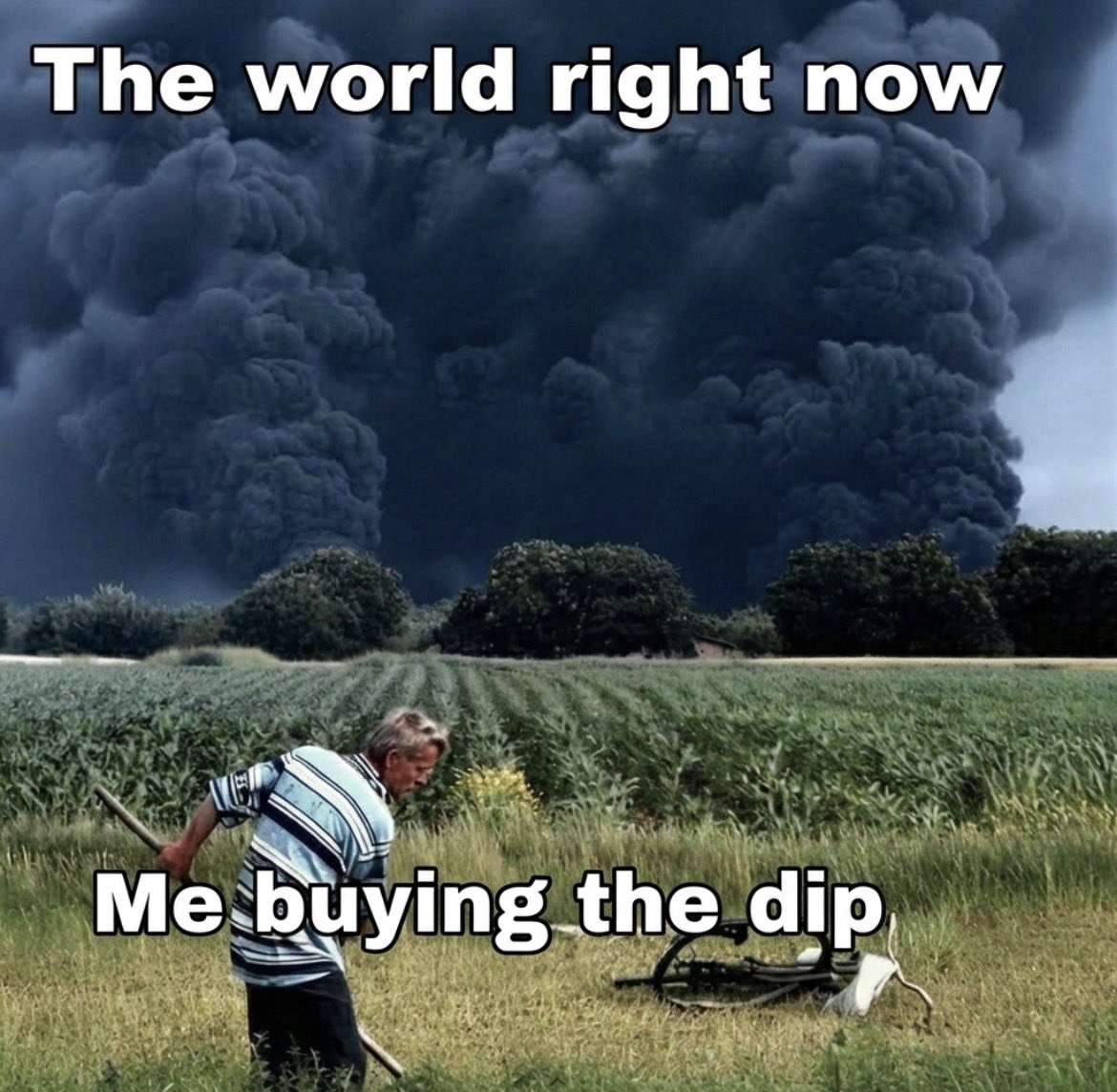 junglegurl 🐅 tweet media