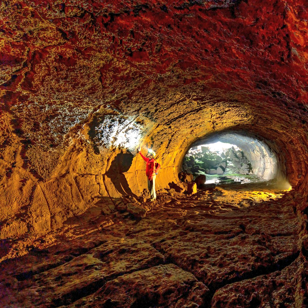 World of StatHistics tweet media