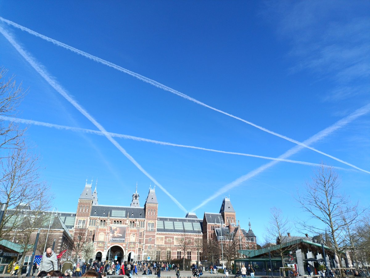 Omer Pelman tweet media