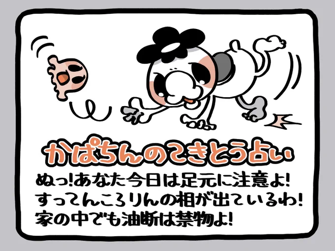 📢毎朝6:55
かぱちんのてきとう占い🔮
「すってんころりんの相!」 