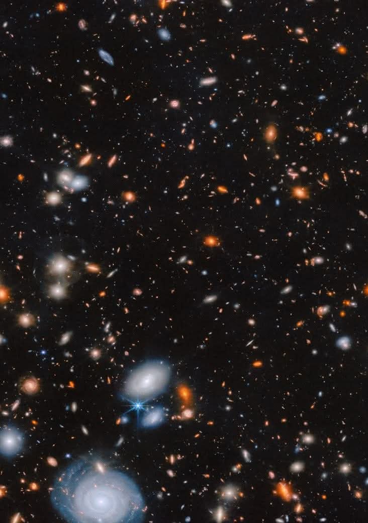 Black Hole tweet media