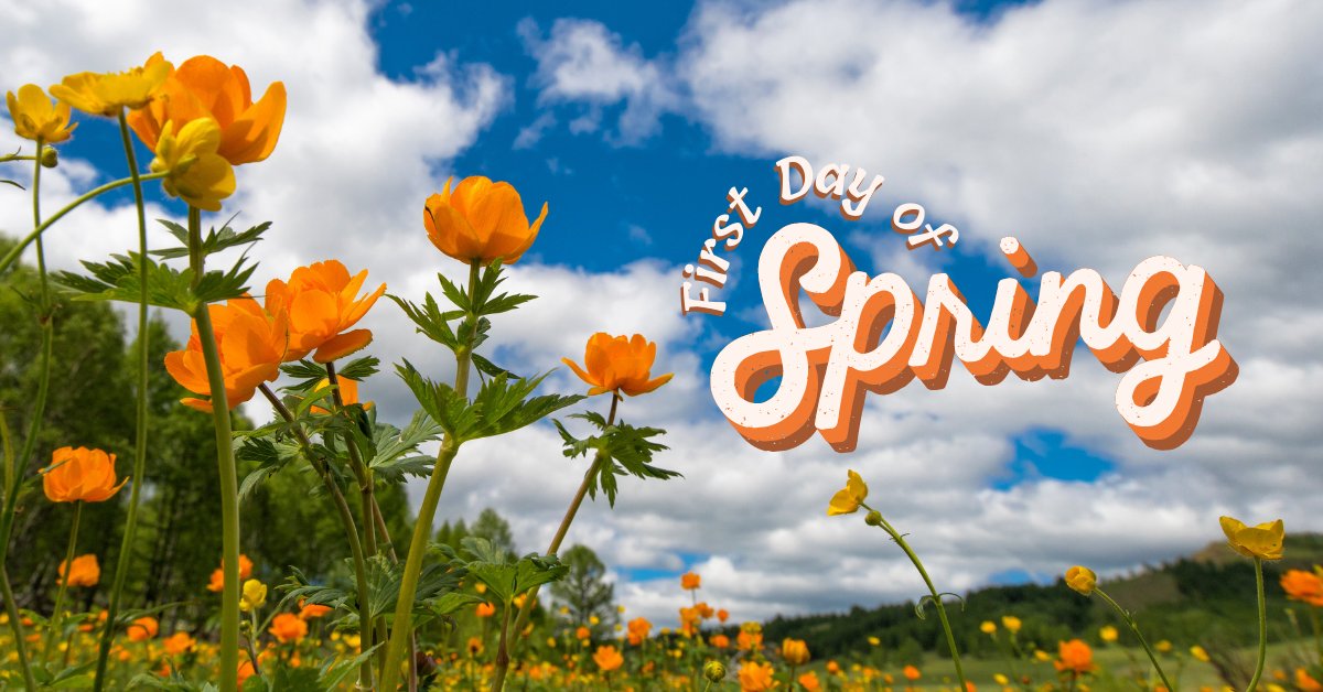 Midnight Apparel tweet media