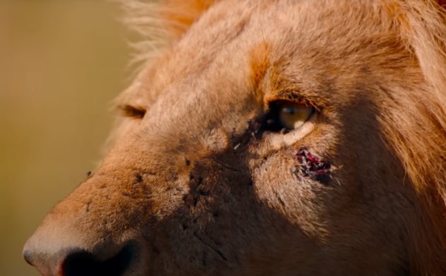 Stocks Trading Club tweet media