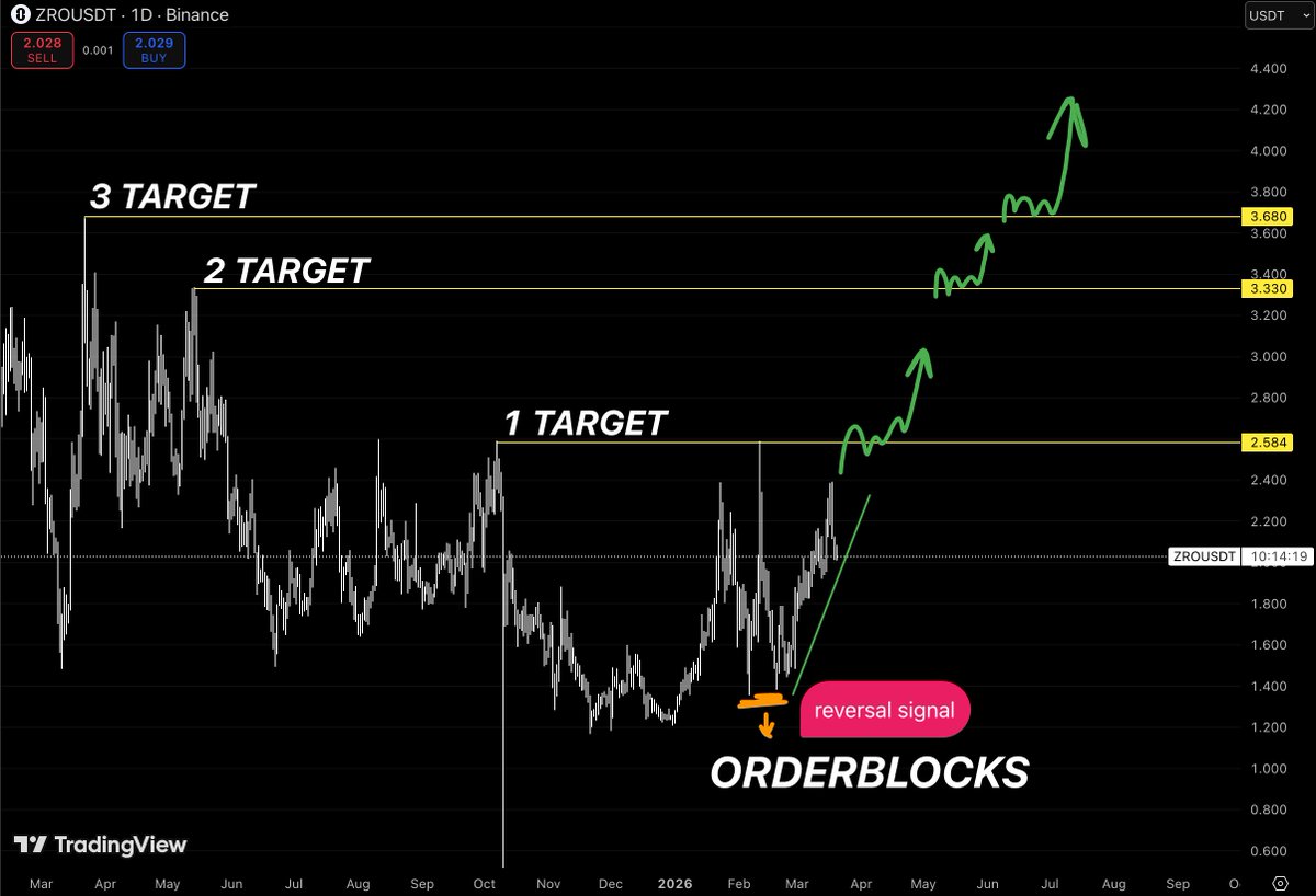 chief of overthinking tweet media