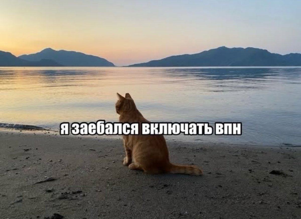 Артём Трещенко tweet media