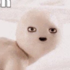 Cloudz ☁️ | Panda Heroic Spirit | Pre-debut tweet media