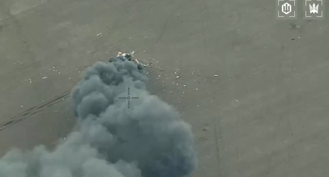 Tracey SBUFella 🇬🇧🇺🇦 #NAFO tweet media