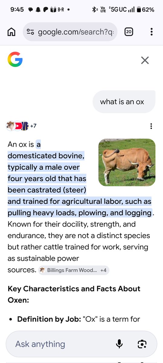 bc the Grim tweet media