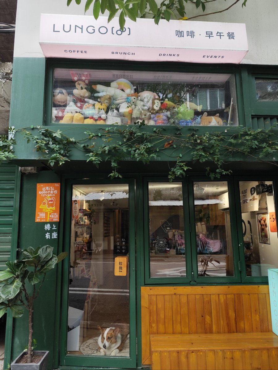 licha000 tweet media