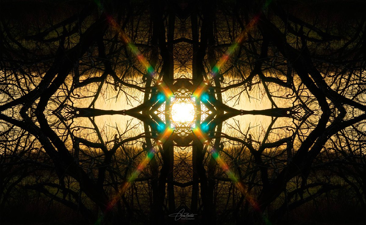 Chris Bartel tweet media