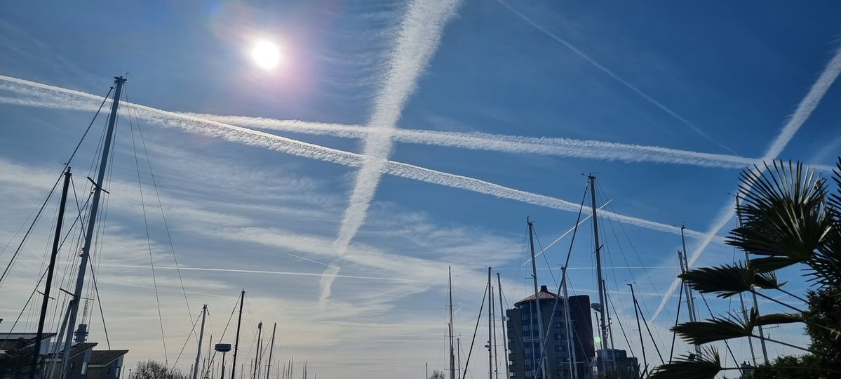 sherbocasema's tweet image. 😡😡😡😡😡👇 20-3-2026