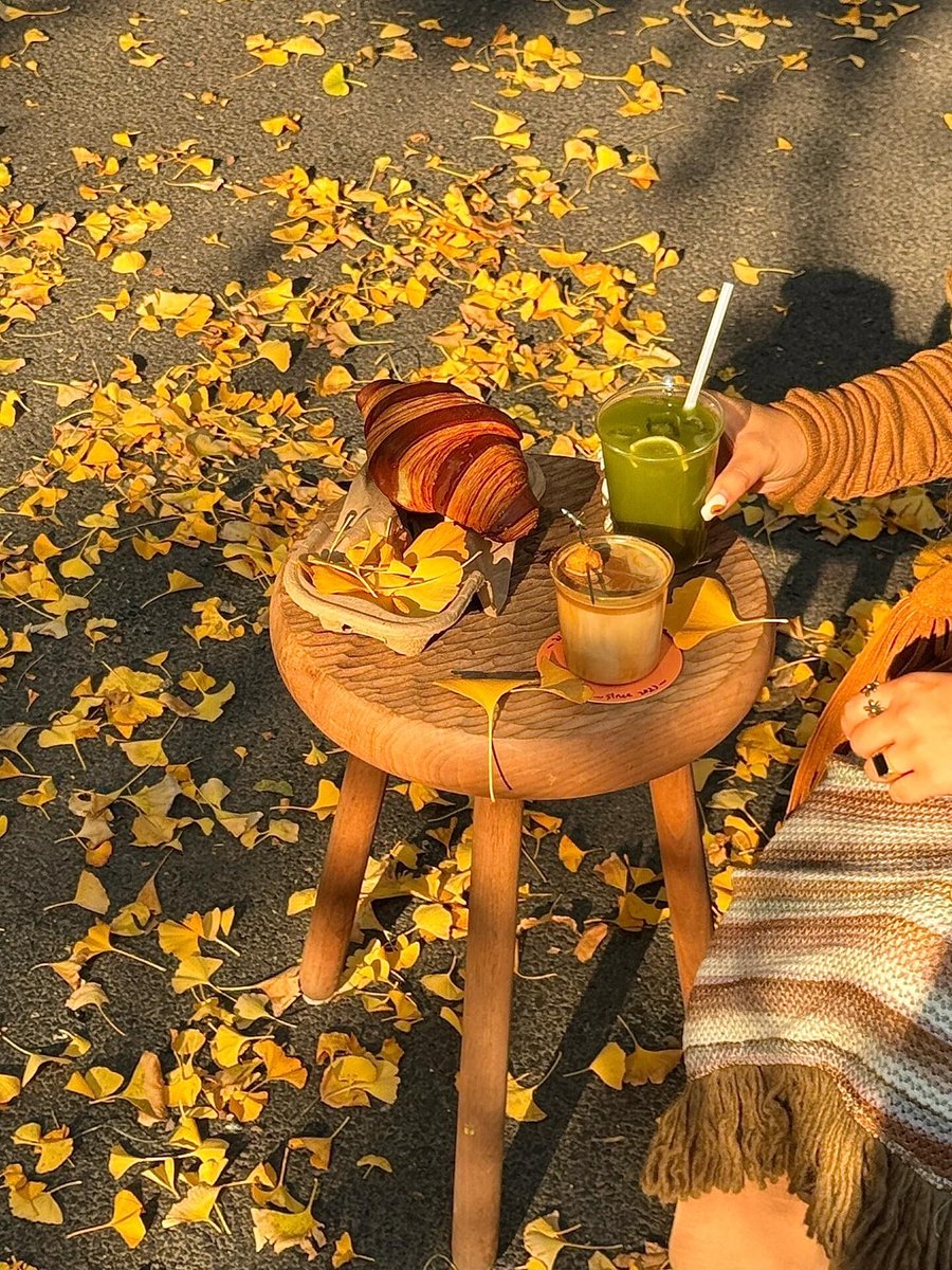 ابو كرار الزبيدي tweet media