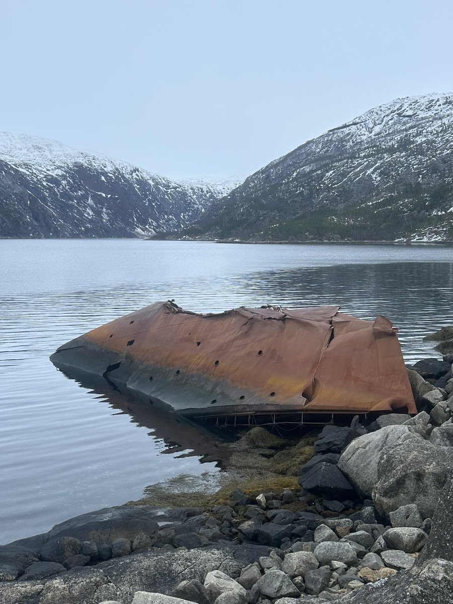 James Holland tweet media