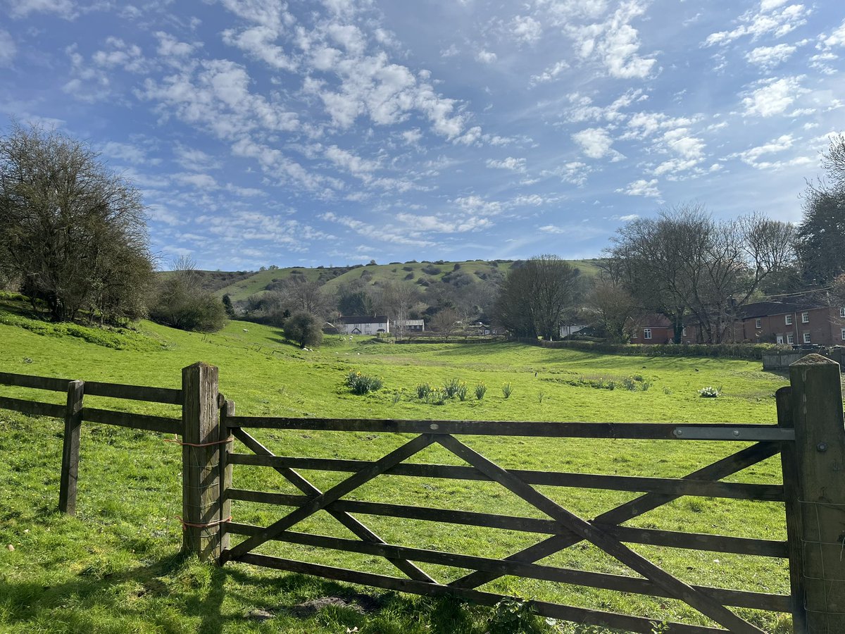 Cllr Lucy Trimnell 🫖 tweet media