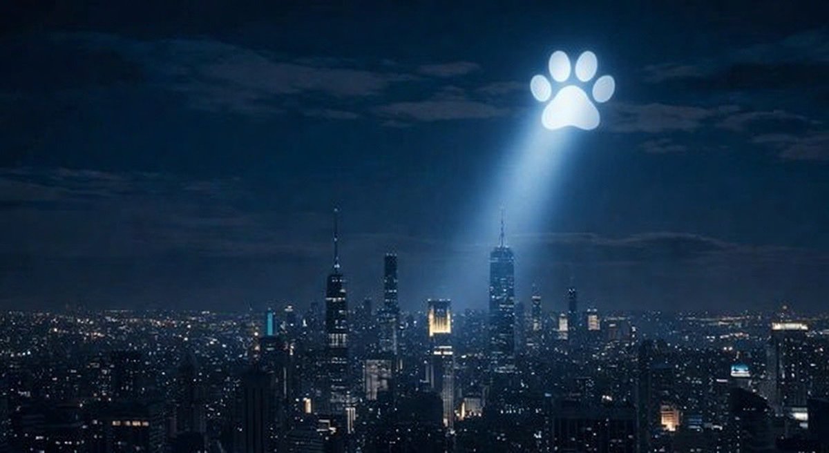 Juan ✞︎ tweet media