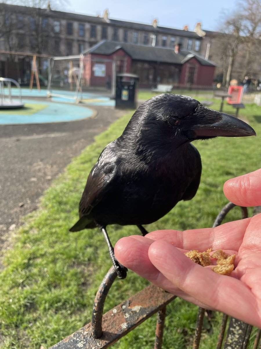 Ian Cumming tweet media