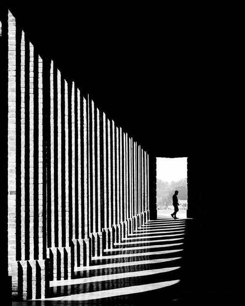 AroojSyed0312 tweet media