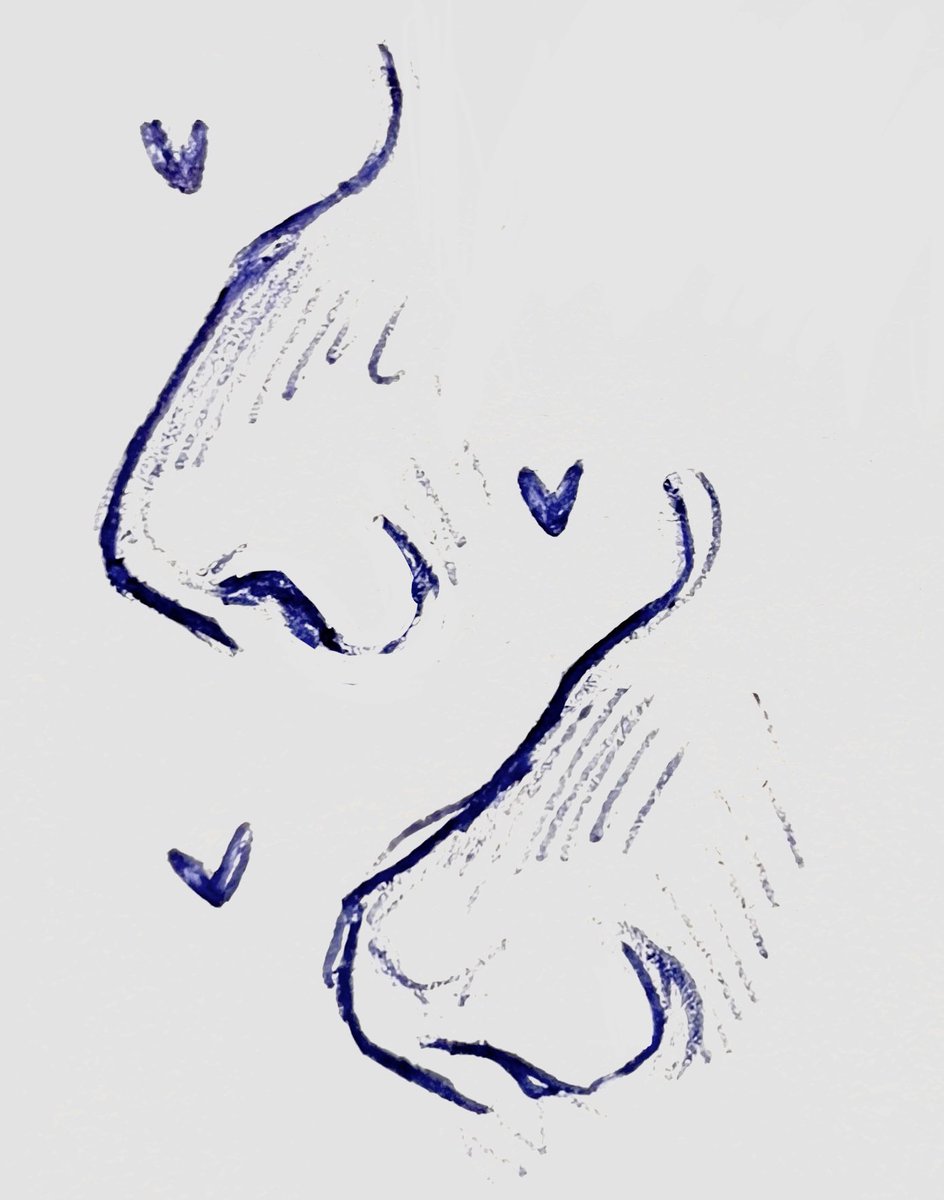 poms 🧸 tweet media