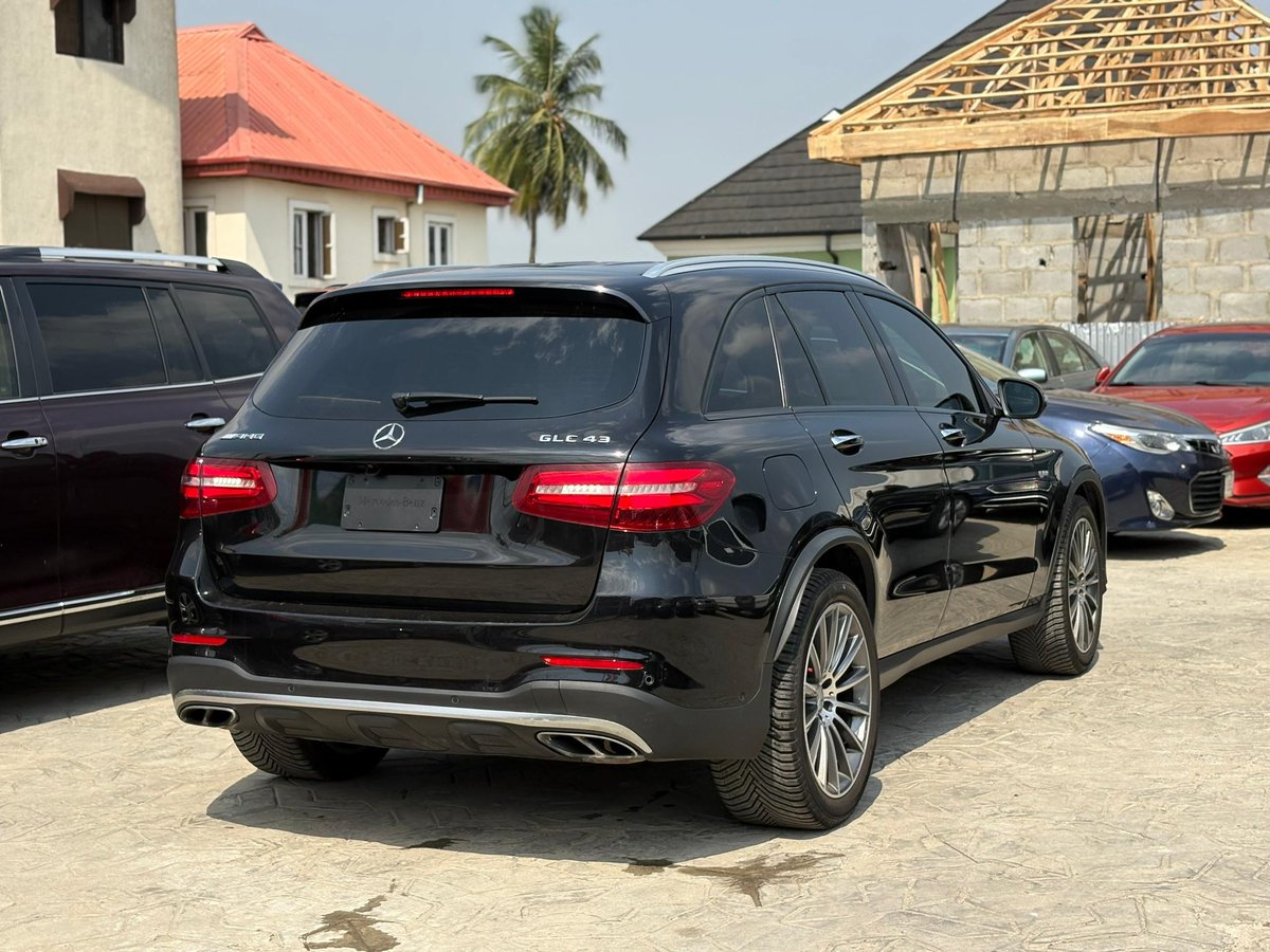 B¹G ZIM tweet media