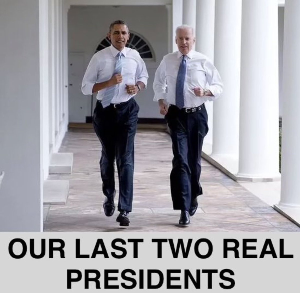 RealMonkeyTheCat 🐾💙🐸📎 tweet media