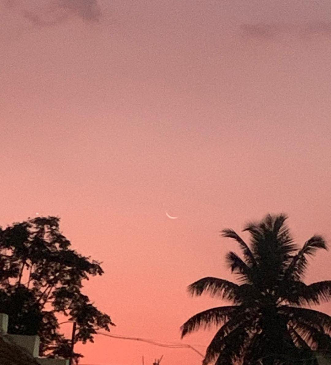 زماں tweet media