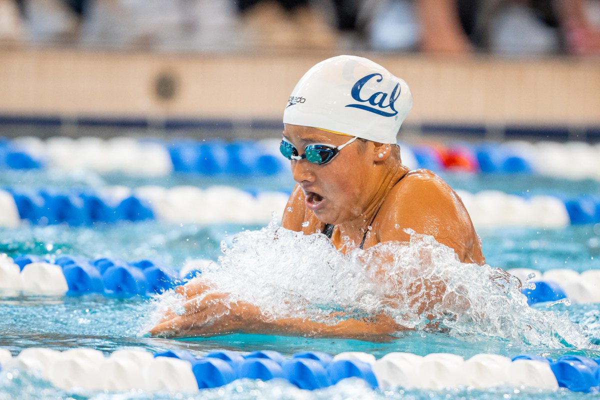 Cal Women’s Swim & Dive tweet media