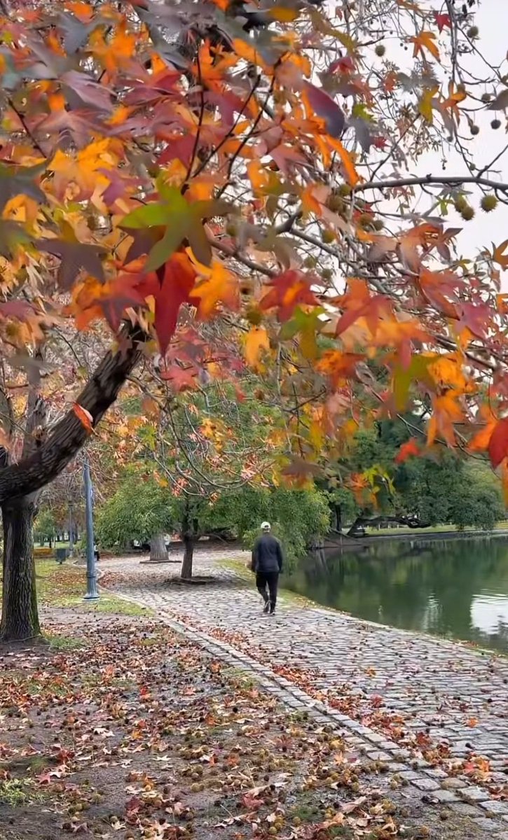 Comienza mi estación preferida del año🍂🍂🧡 #OtoñoenBuenosAires
