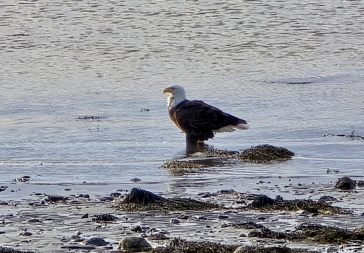 O'teach John tweet media