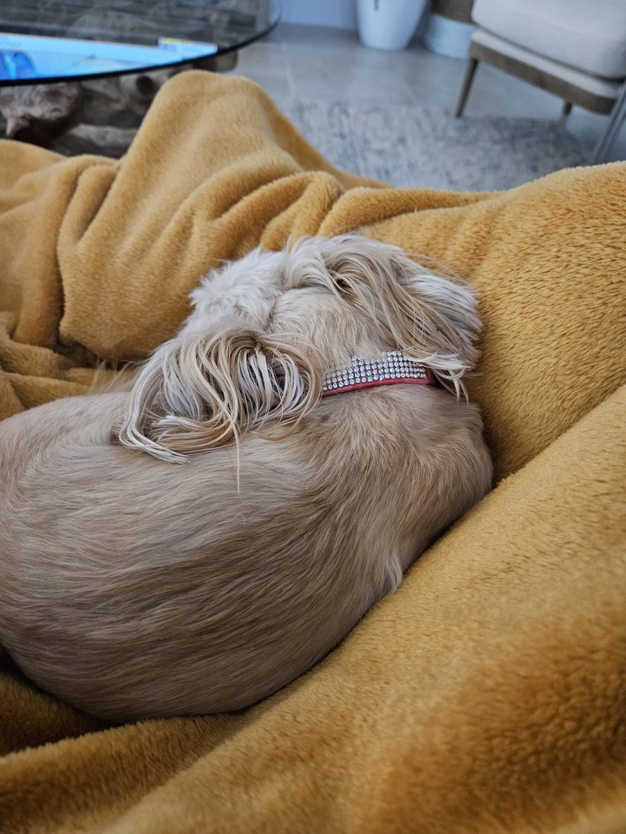 Classified (OG) ™️ - tweet media