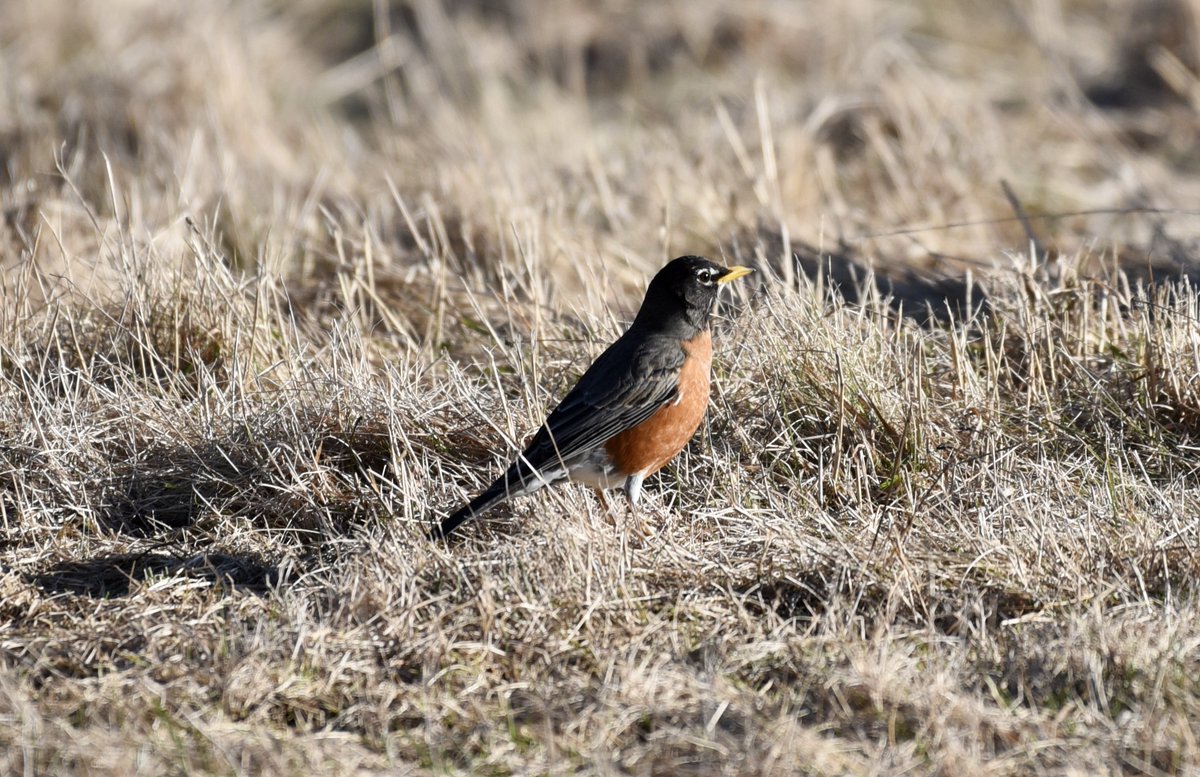 O'teach John tweet media